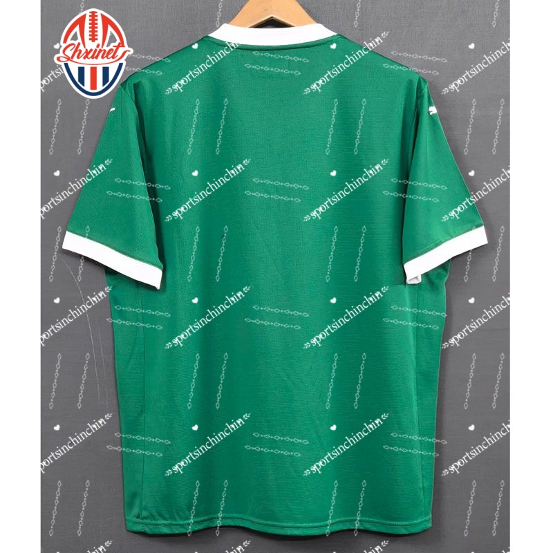 The 2025-26 Club World Cup jersey No. 9 EndrickDuduRaphael VeigaGustavo GomezRichard RiosMaykeWeverton adult short-sleeved football training jersey