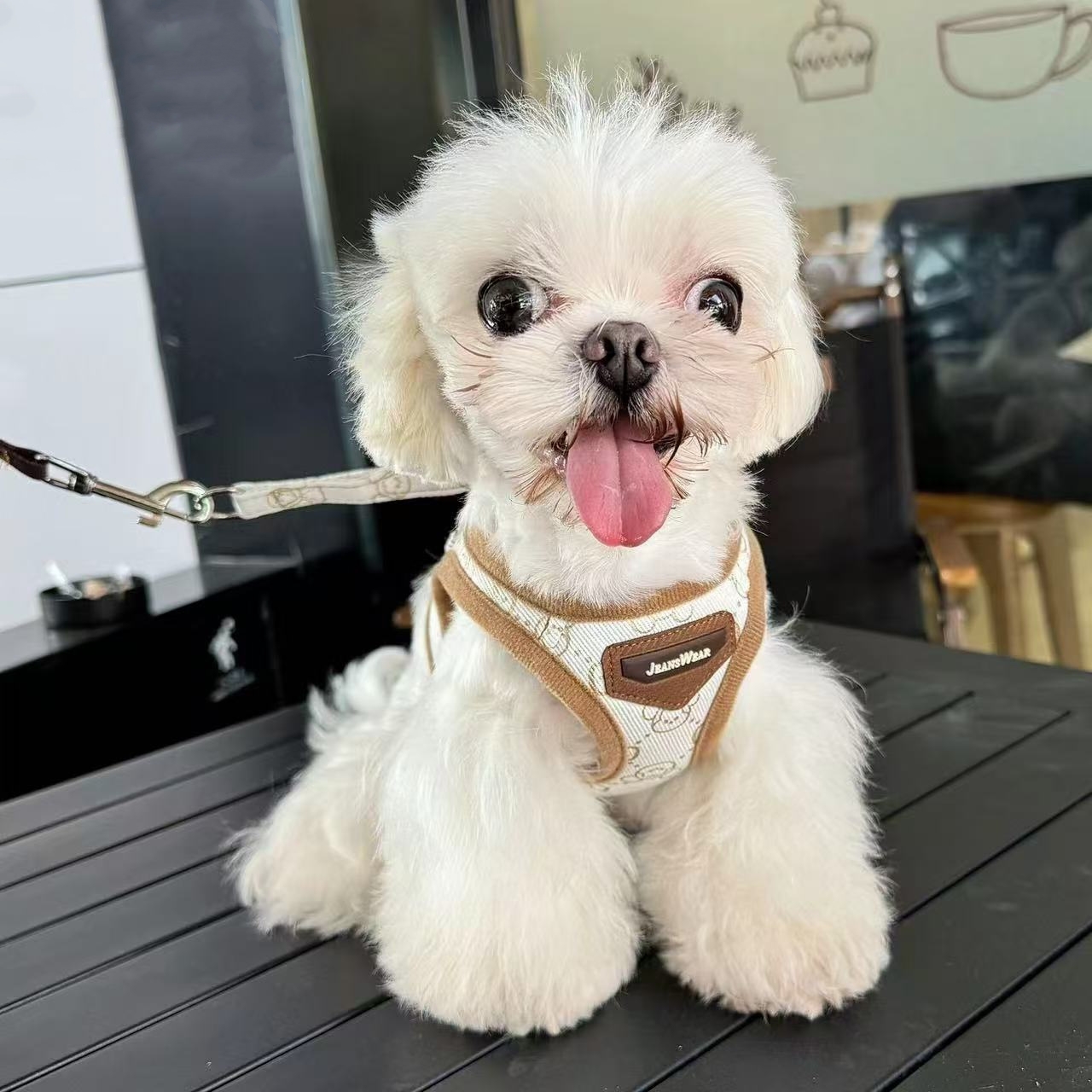 Small Dog Harness with Leash Set, No Escape No Pull Easy Walk Puppy Harnesses, Step-in Hot Stamping Pattern Soft Dogs Vest for Medium Small Sized Dog 