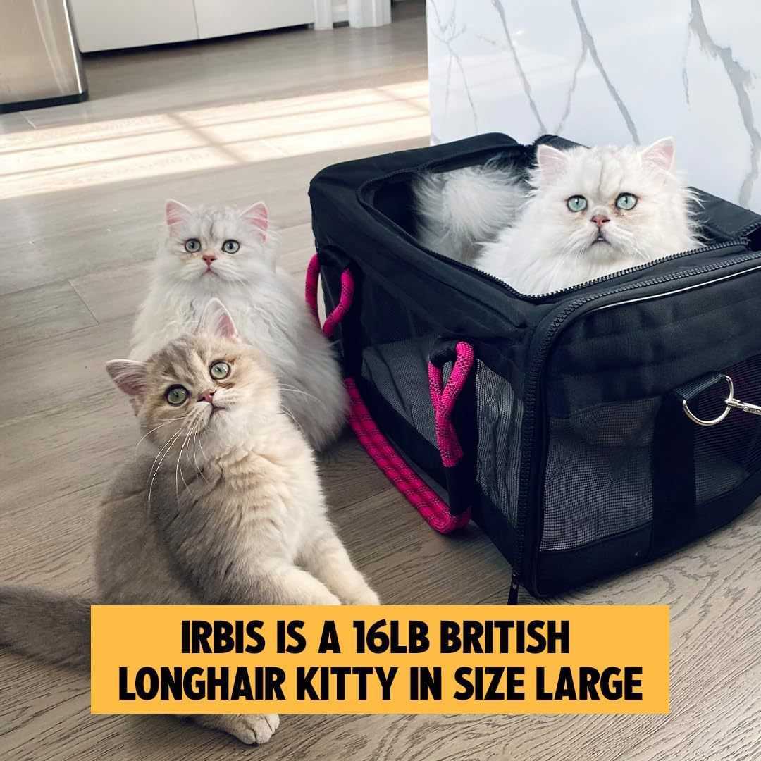Pet Carrier Bag fashion Cat Pet Bag Outdoor Travel Pet Carrier Bag Portable Carrier Bag 250615