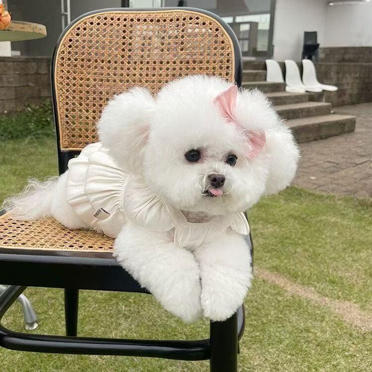 T449Lightweight, breathable, air-conditioning clothing, anti-air-conditioning direct blowing, anti-hair loss, universal cat and dog clothes