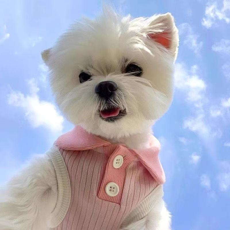 T456Dog Clothes V-neck vest pure cotton elastic autumn style Schnauzer Teddy Bichon small dog pet cat clothes