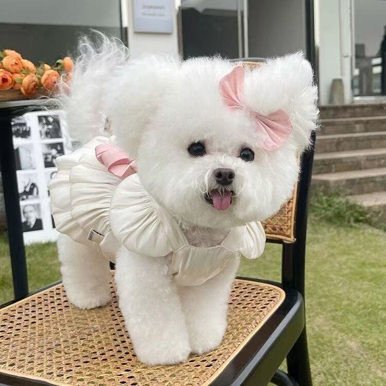 T449Lightweight, breathable, air-conditioning clothing, anti-air-conditioning direct blowing, anti-hair loss, universal cat and dog clothes