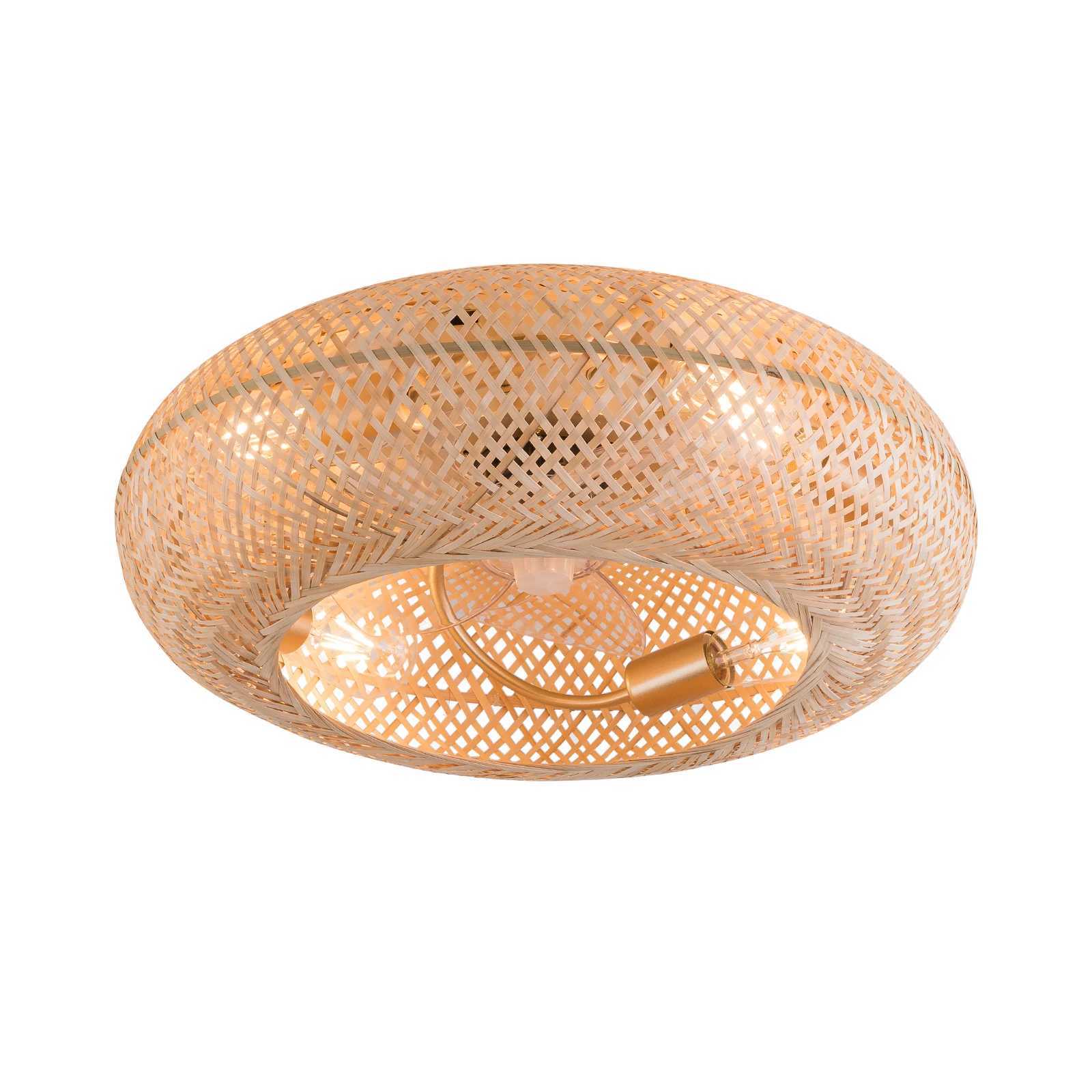 Modern LED Ceiling Fans With Light Bamboo Rattan Hand-Woven Retro Ceiling Lamp With Fans Remote Control 110V XJ2500613