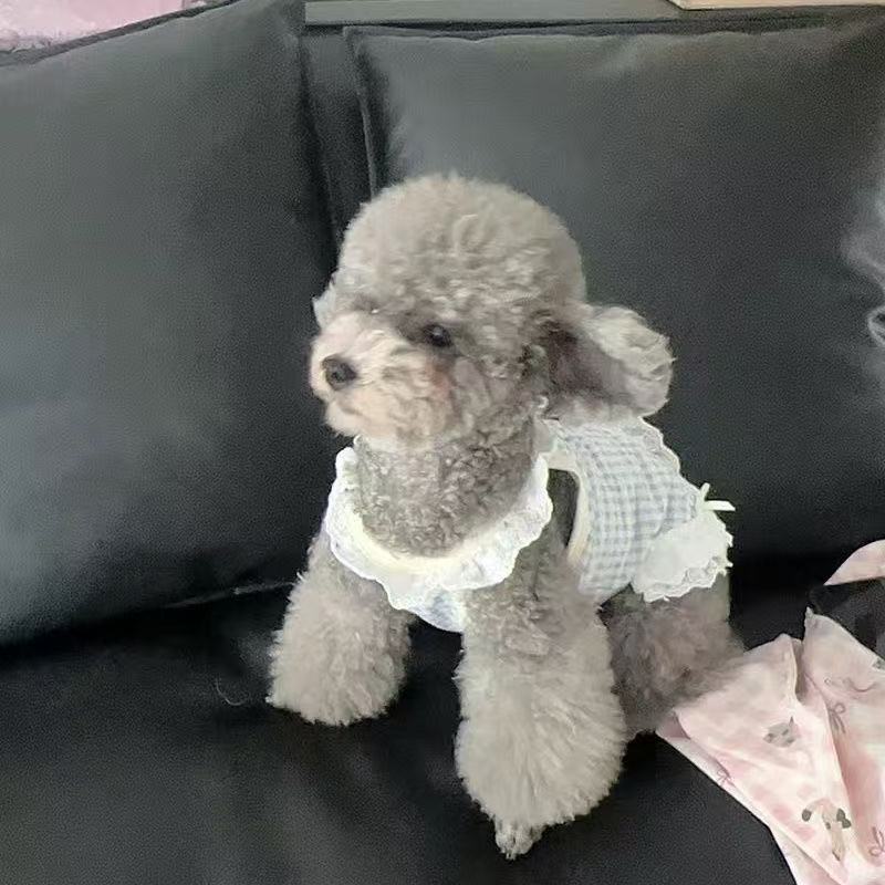 T462Beautiful Yorkshire Terrier Lace Clothes Love Cute Skirt Thin Summer Pet Puppy Dog Clothes Small Dog Teddy Bo