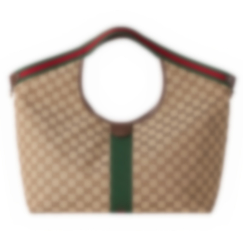 Luxury Designer Bag Handbags High Quality Chain Bag Shoulder Bags Fashion Crossbody Purses Designer Woman Handbag purse GB346