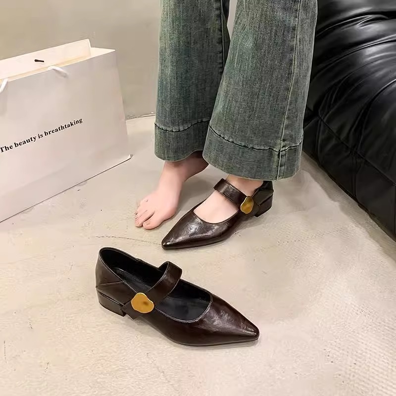 Ddmyoutdoor French Style Chunky Heel Single Shoes For Women Spring Autumn New Metal Buckle Pointed Toe Shallow Mouth One Strap Mary Jane Outdoor Shoes