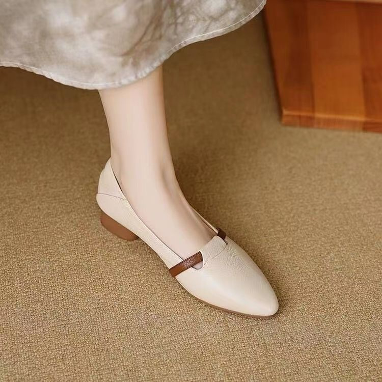 Ddmysports Autumn French Style Pointed Toe Color Block Shallow Mouth Single Women Low Ultra Soft Medium Thick Heel Granny Elegant Small Leather Shoes 