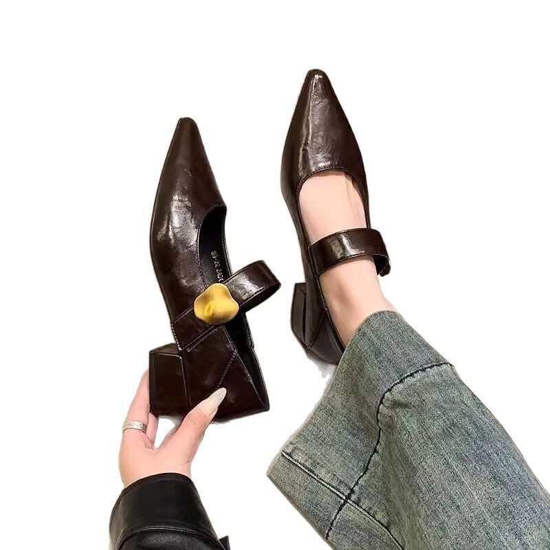 Ddmyoutdoor French Style Chunky Heel Single Shoes For Women Spring Autumn New Metal Buckle Pointed Toe Shallow Mouth One Strap Mary Jane Outdoor Shoes