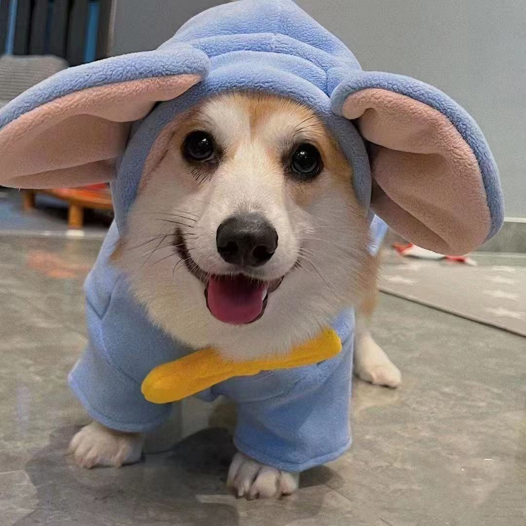T458Dumbo dog clothes Corgi Bichon Schnauzer Shiba Inu dog clothes autumn and winter dog winter clothes