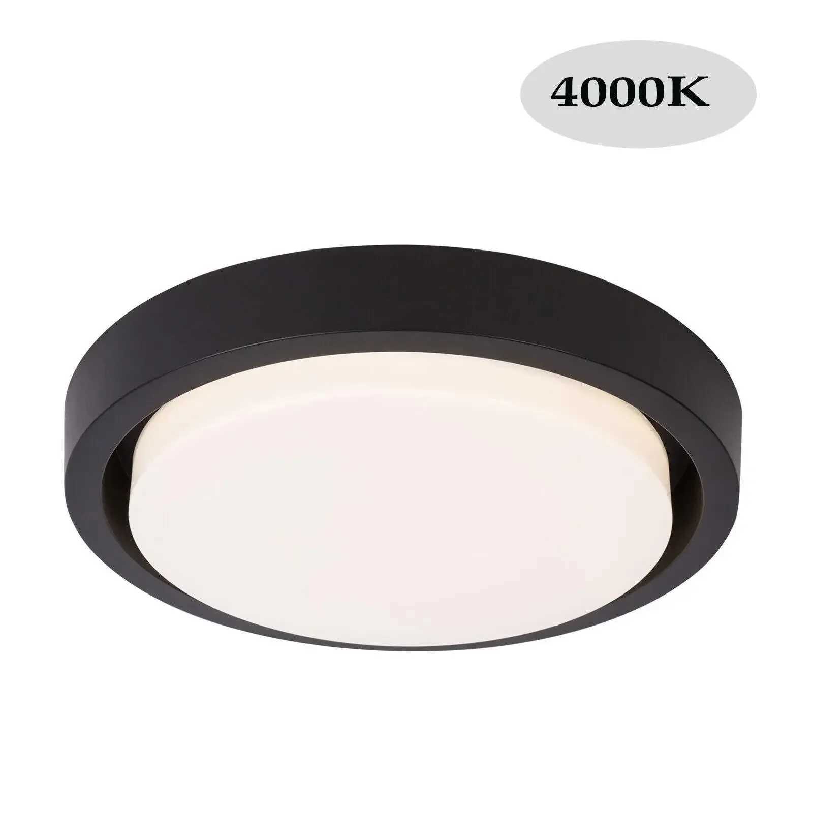 12 Inch Acrylic Ceiling Light LED Ceiling Lamp Living Room Lighting Fixture 18W Bedroom Light Fixture XJ2500613