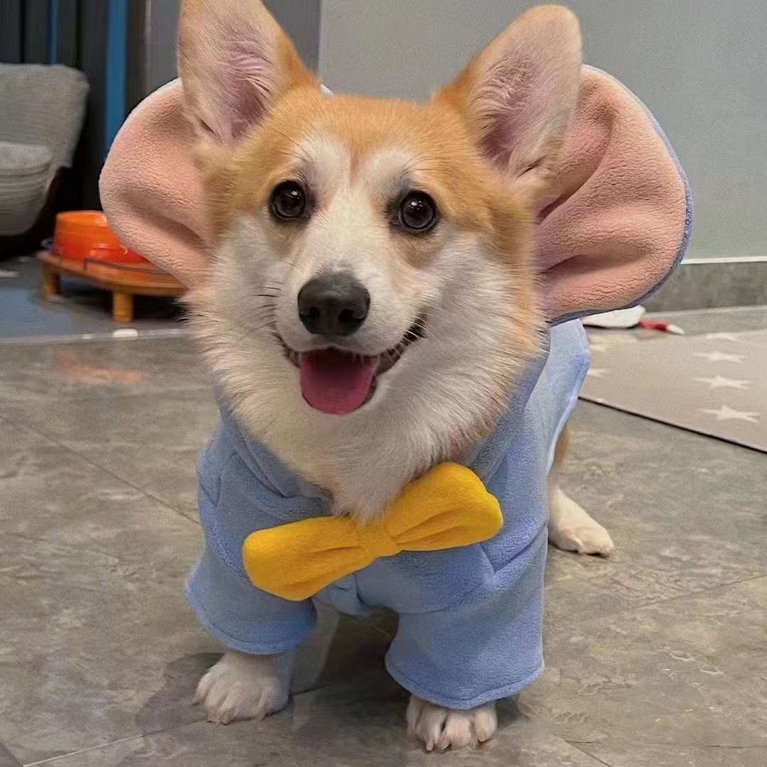 T458Dumbo dog clothes Corgi Bichon Schnauzer Shiba Inu dog clothes autumn and winter dog winter clothes