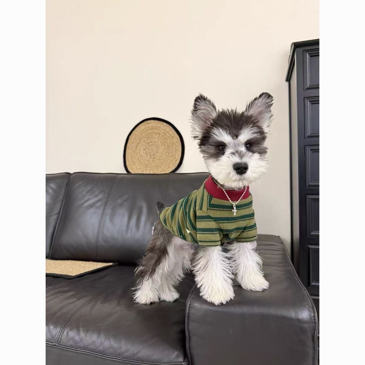T461Dog clothes spring and autumn thin Teddy Maltese striped round neck T-shirt basic cat anti-hair loss small