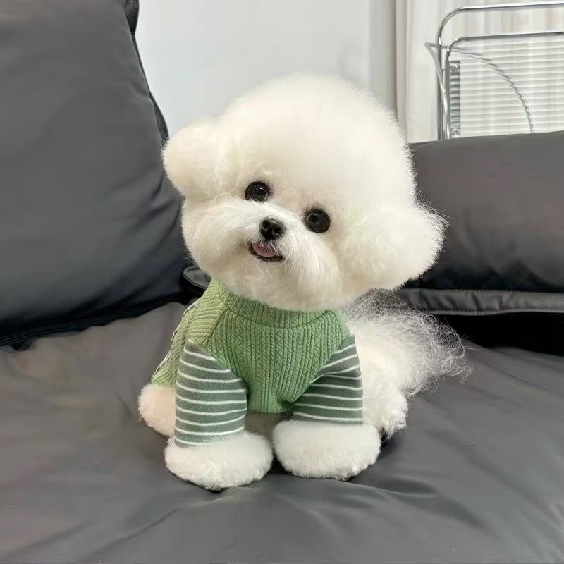 T465Bichon Frise dog clothes autumn and winter new stitching sweater comfortable warm bottoming shirt pet cat Teddy