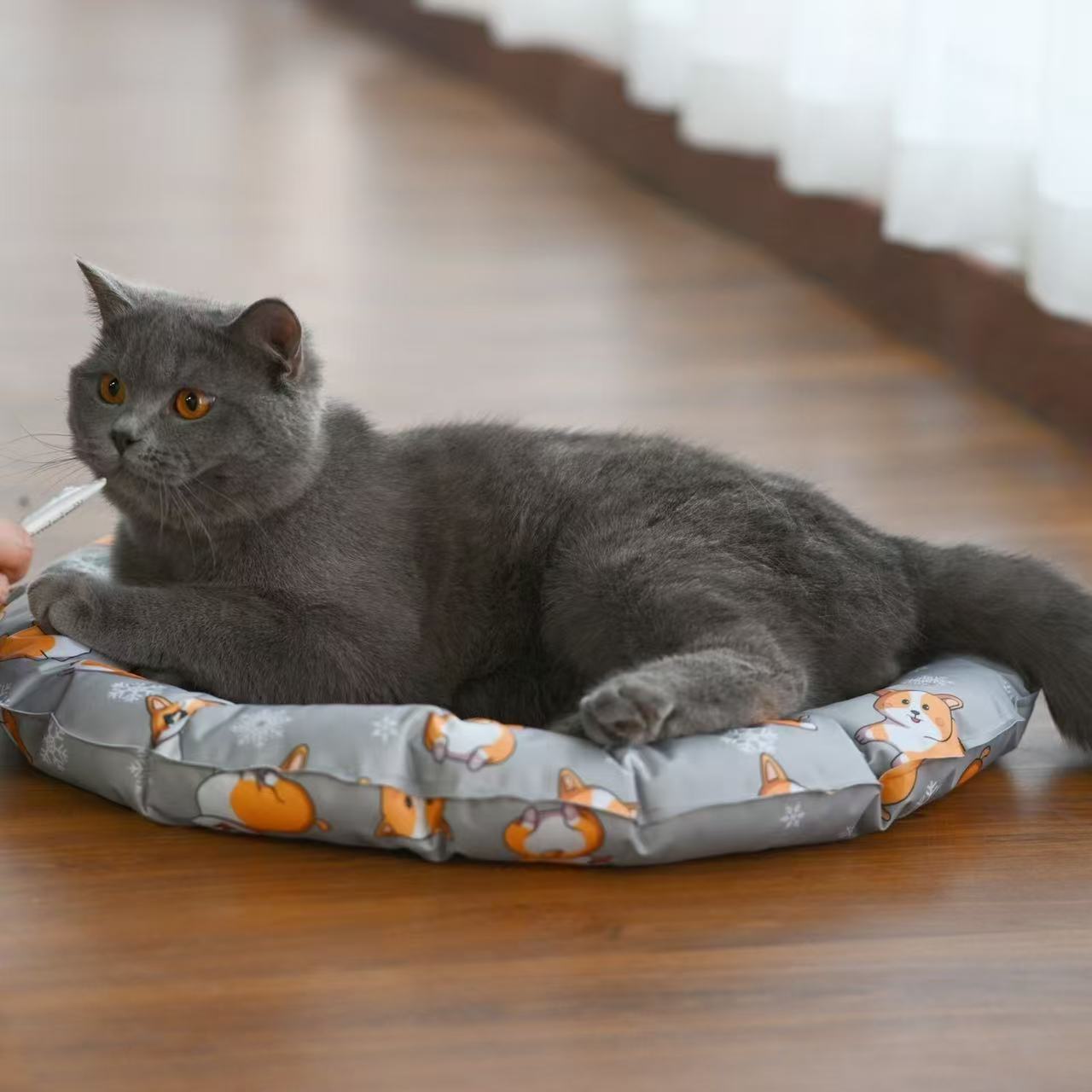 Cooling Pet Bed with Ice Pad: Summer Cool Mat for Dogs Cats, Anti-Bite and Dirt-Resistant, Washable Free shipping