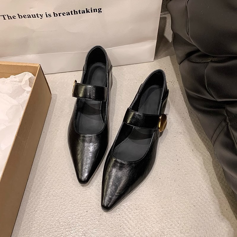 Ddmyoutdoor French Style Chunky Heel Single Shoes For Women Spring Autumn New Metal Buckle Pointed Toe Shallow Mouth One Strap Mary Jane Outdoor Shoes