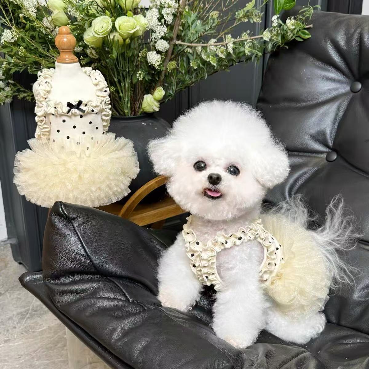 T464Pet clothes breathable summer tutu skirt new dog sling cat mesh thin lace cute princess skirt