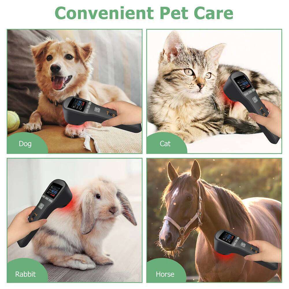 20 Diodes 650Nm 808Nm Low Level For Pets Paw Pads Swelling Up Gingivitis Periodontal 880Mw PBM Cold Laser Therapy