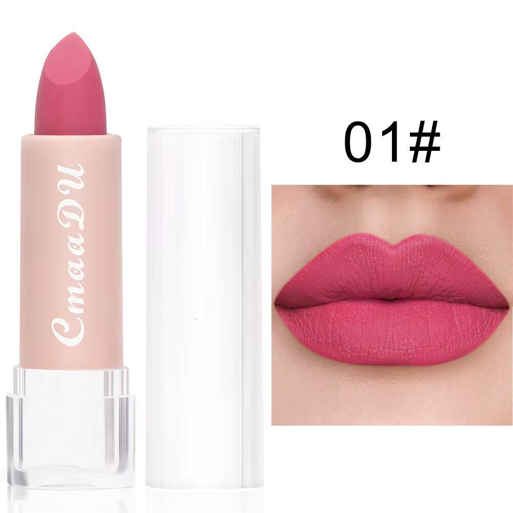 15 Colors Matte Lipsticks Waterproof Long Lasting Sexy Red Stick Makeup Brown Velvet Pigments Lip Tint Profissional Cosmetic happy