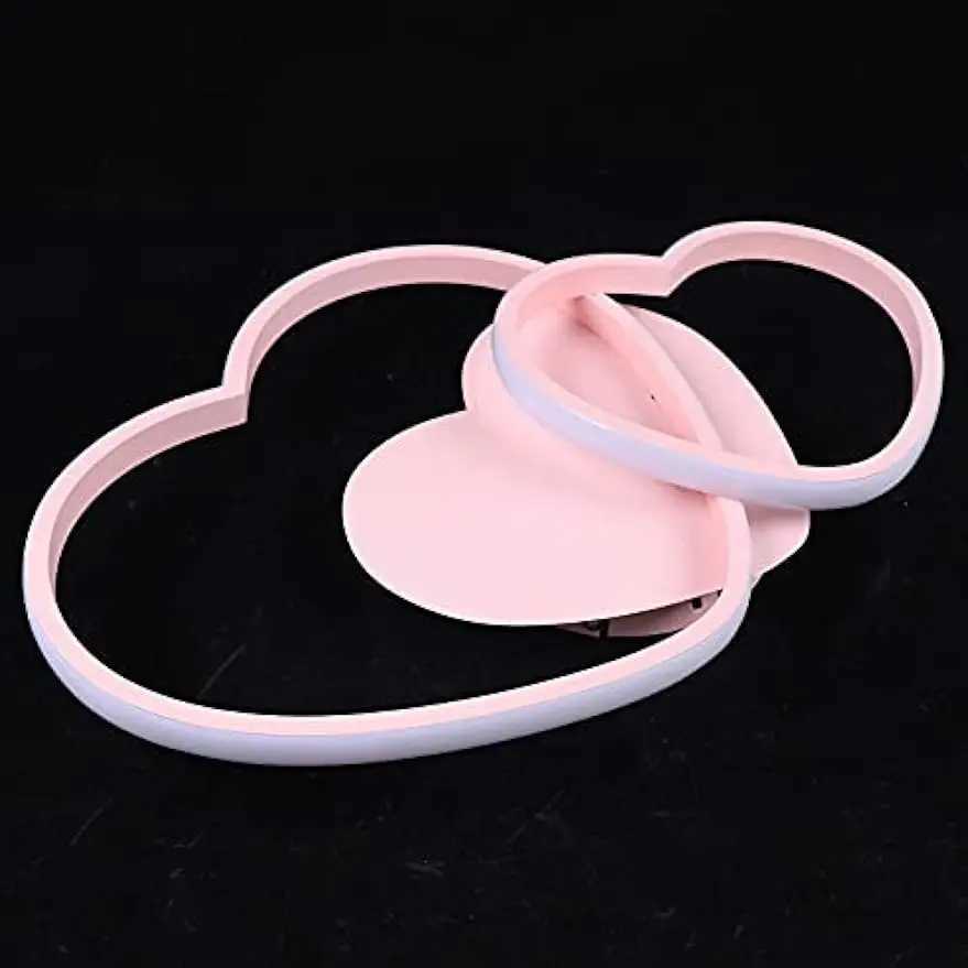 42W Heart-Shaped Flush Mount Ceiling Chandelier Lighting Creative Acrylic 2 Heart Ring Ceiling Lamp Fixture XJ2500613