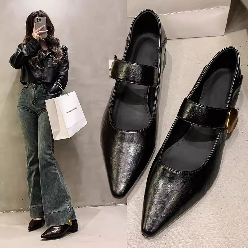 Ddmyoutdoor French Style Chunky Heel Single Shoes For Women Spring Autumn New Metal Buckle Pointed Toe Shallow Mouth One Strap Mary Jane Outdoor Shoes
