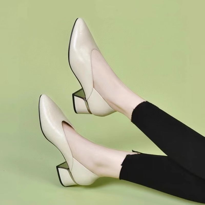 Ddmysports Shallow Mouth Single Spring New Soft Sole Leather Slip On Women S Pointed Toe Thick Heel Grandma Shoes Outdoor Shoes