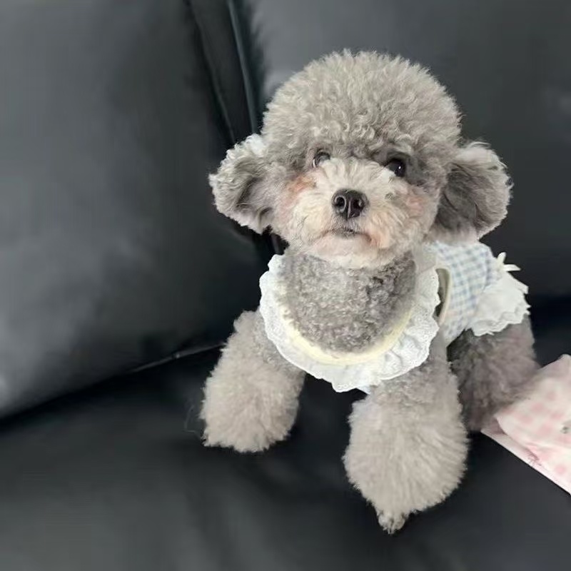 T462Beautiful Yorkshire Terrier Lace Clothes Love Cute Skirt Thin Summer Pet Puppy Dog Clothes Small Dog Teddy Bo