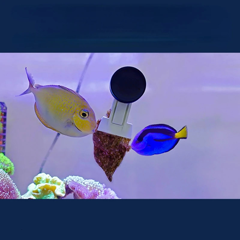 VastOcean Veggie-Mag Feeding Clip Aquarium Fish Tank Strong Magnetic Seaweed Vegetable Clip 250613
