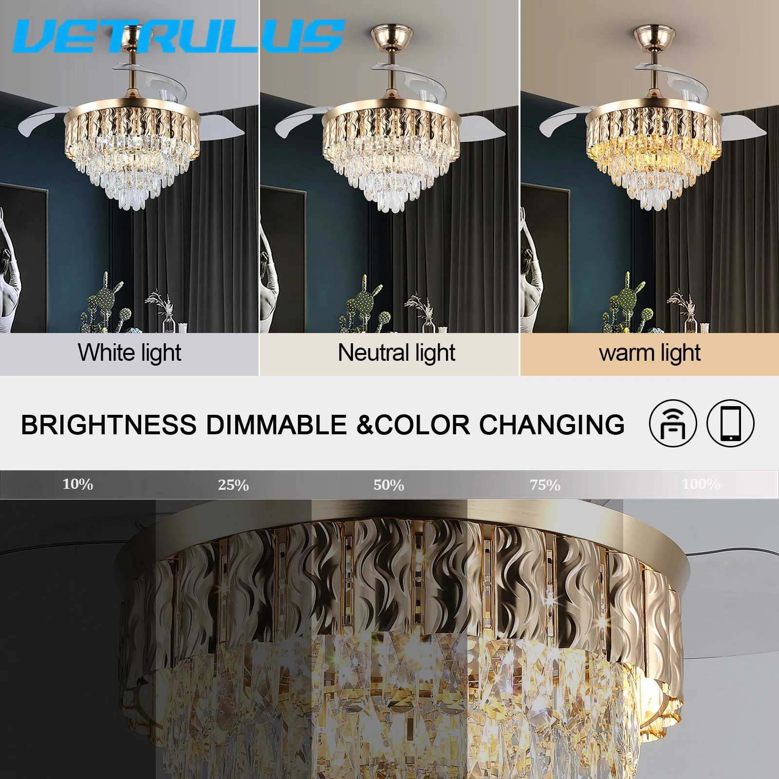 Smart Modern Ceiling Fan Lamp Remote Control Living Dining Room Ceiling Fan LED Light Indoor Fixture Reversible BLDC Intelligent W250613