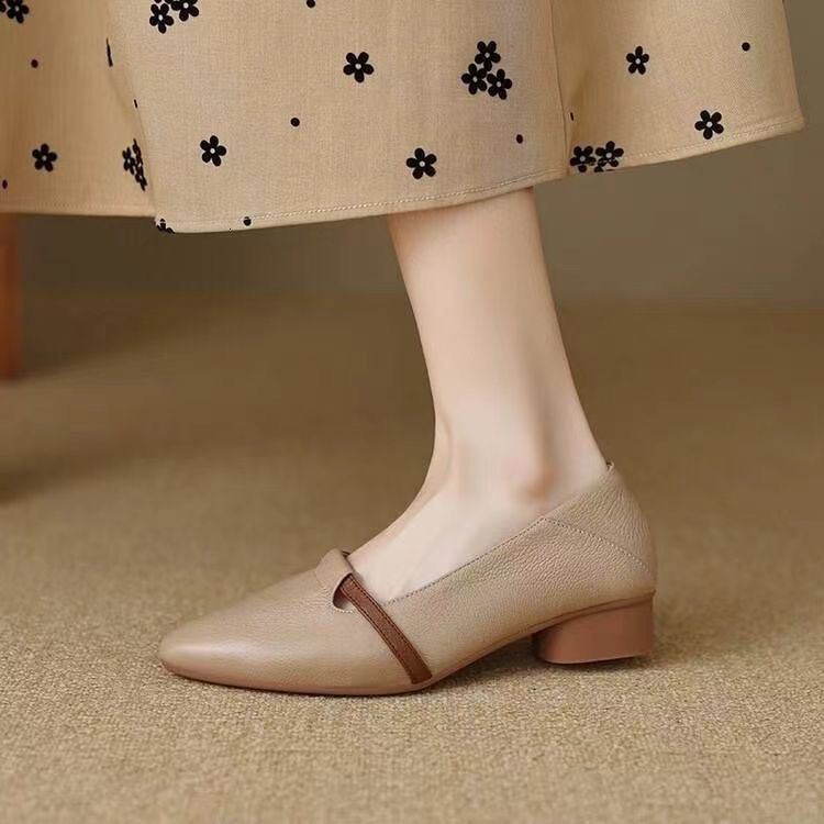 Ddmysports Autumn French Style Pointed Toe Color Block Shallow Mouth Single Women Low Ultra Soft Medium Thick Heel Granny Elegant Small Leather Shoes 