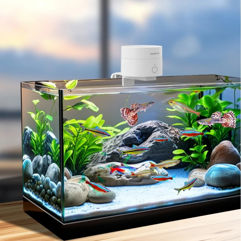 Intelligent Timed Fish Feeder for Small Fish - No Clogging Perfect for Desktop Fish Tanks 250613