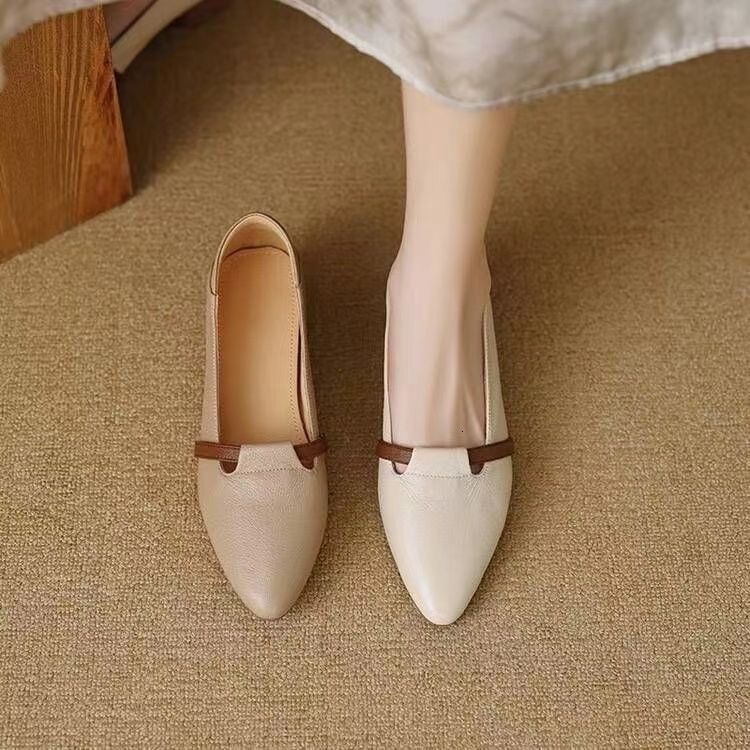 Ddmysports Autumn French Style Pointed Toe Color Block Shallow Mouth Single Women Low Ultra Soft Medium Thick Heel Granny Elegant Small Leather Shoes 