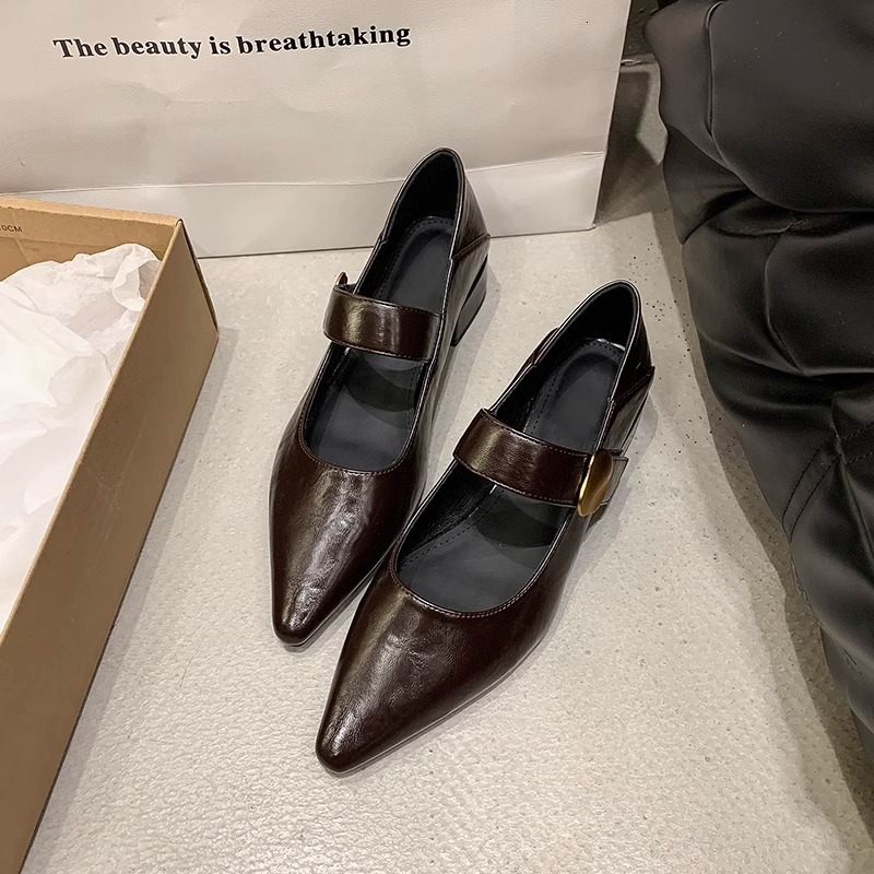 Ddmyoutdoor French Style Chunky Heel Single Shoes For Women Spring Autumn New Metal Buckle Pointed Toe Shallow Mouth One Strap Mary Jane Outdoor Shoes