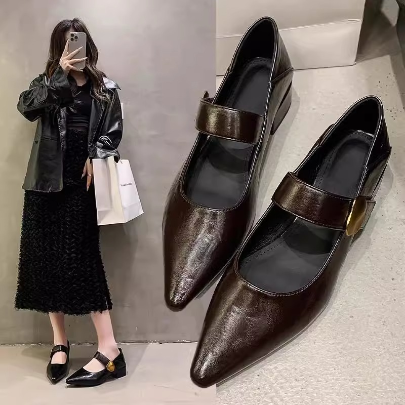 Ddmyoutdoor French Style Chunky Heel Single Shoes For Women Spring Autumn New Metal Buckle Pointed Toe Shallow Mouth One Strap Mary Jane Outdoor Shoes