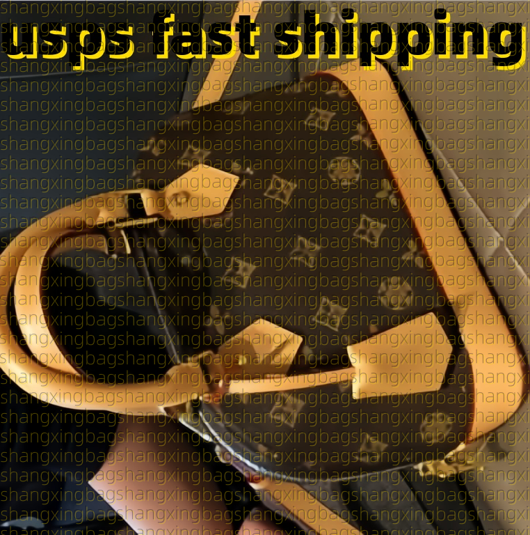 Fashion Higt designer quality bag Women tote Shoulder bags Chain Messenger Bag Leather Handbags Shell Purse Ladies Cosmetic Crossbodys wallet