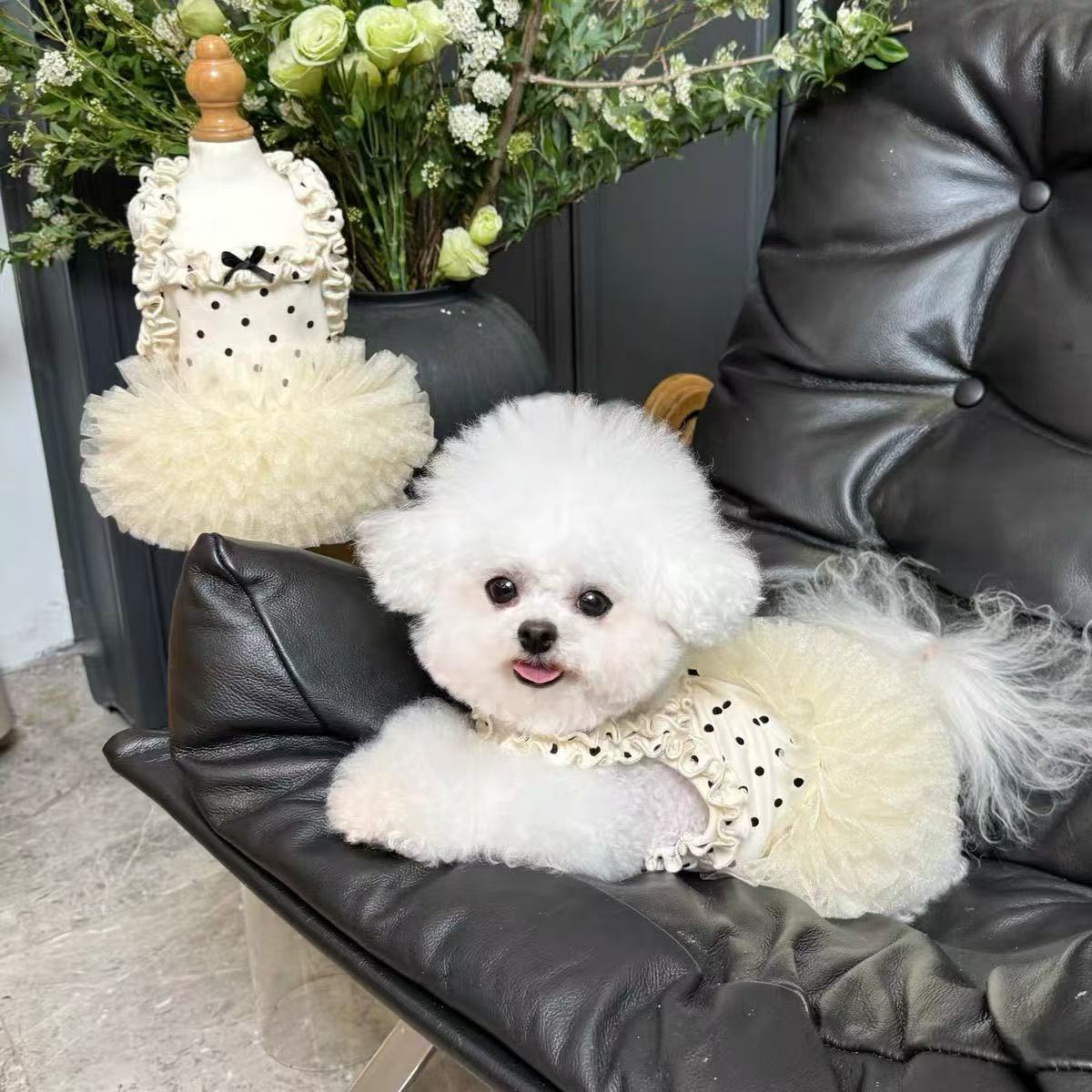 T464Pet clothes breathable summer tutu skirt new dog sling cat mesh thin lace cute princess skirt