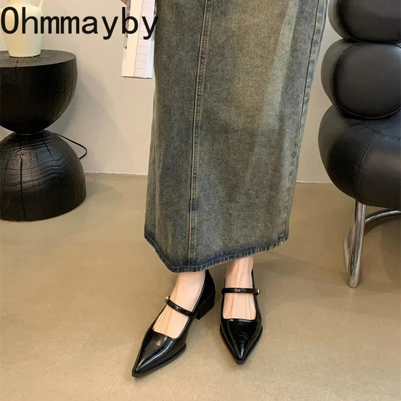 Retro Style Thick Heel Women Mary Jane Shoes Fashion Shallow Pointed Toe Ladies Comfort Office Pumps Footwear 250703