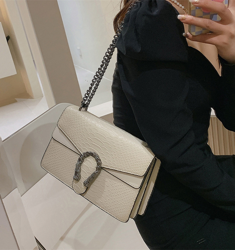 Free shipping designer high-end niche bag for women 2025 new trendy wine god bag, fashionable internet celebrity chain bag, versatile chain small squa