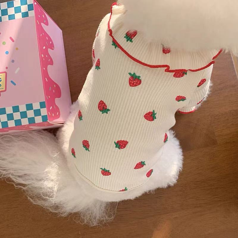 T468Teddy Skirt Dog Clothes Spring and Summer Bichon Pomeranian Cat Pet Clothes Puppy Clothes