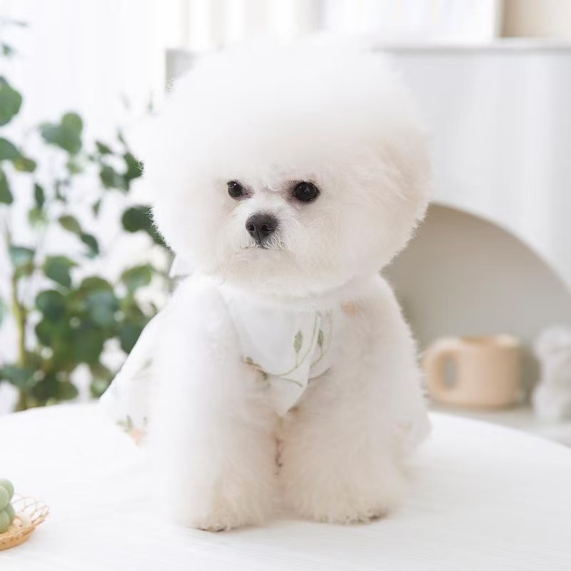 T471Puppy spring and summer breathable lace ribbon floral double-layer princess dress cat Teddy small and medium-sized dog pet clothes