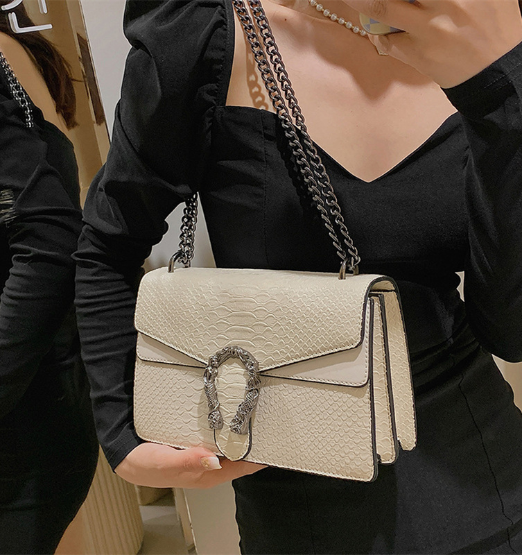 Free shipping designer high-end niche bag for women 2025 new trendy wine god bag, fashionable internet celebrity chain bag, versatile chain small squa
