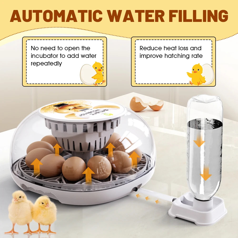 Household Small Chicken Duck Goose Egg Incubator Automatically Add Water Intelligent Temperature Control 12 Incubators 250624