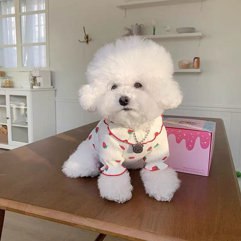 T468Teddy Skirt Dog Clothes Spring and Summer Bichon Pomeranian Cat Pet Clothes Puppy Clothes