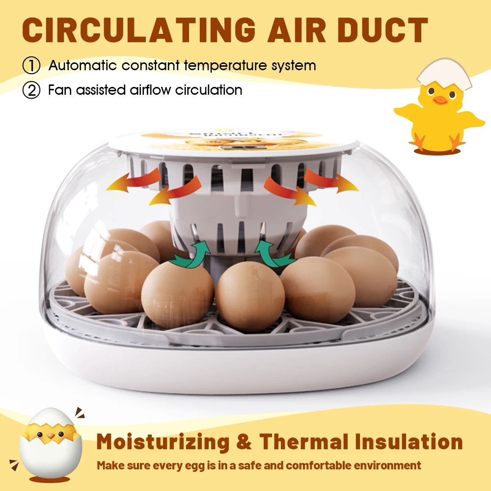 Household Small Chicken Duck Goose Egg Incubator Automatically Add Water Intelligent Temperature Control 12 Incubators 250624