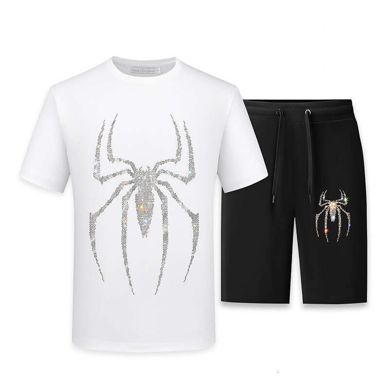 Men's Summer Heavy Embroidered Cotton T-Shirt and Ice Silk Casual Pants Set for Trendy Guys