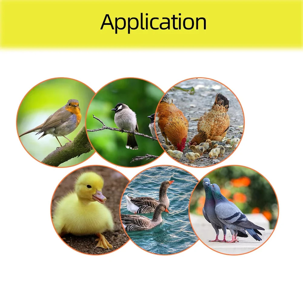 Egg Incubator Automatic Turning Tray 56 154 Bird Eggs Duck Chicken Eggs Hatching Machine 220V Incubator Trays Auto Turn Motor 250613