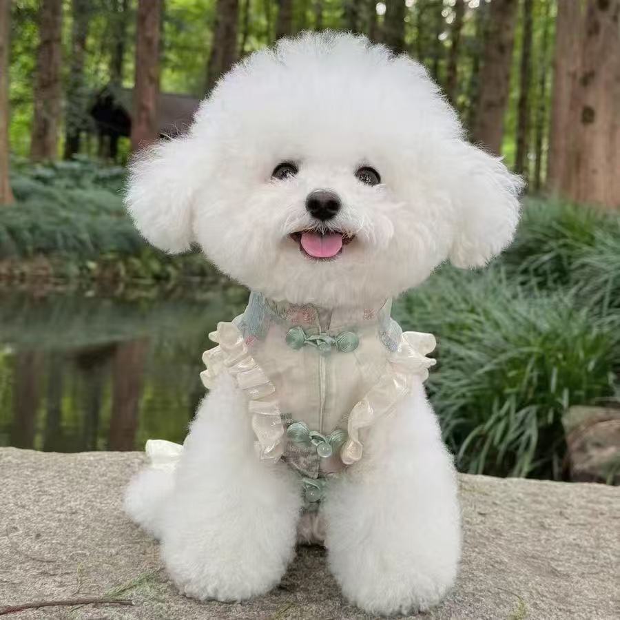 T466Pet dog spring and summer new Chinese cheongsam sleeveless buttoned satin national style skirt western style pony teddy