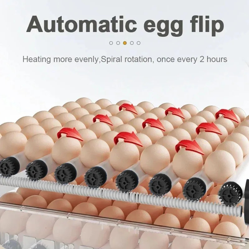 12/15/24 Eggs Incubator Small Household Automatic Intelligent Incubator Poultry Waterbed Incubators And Temperature Controler 250613