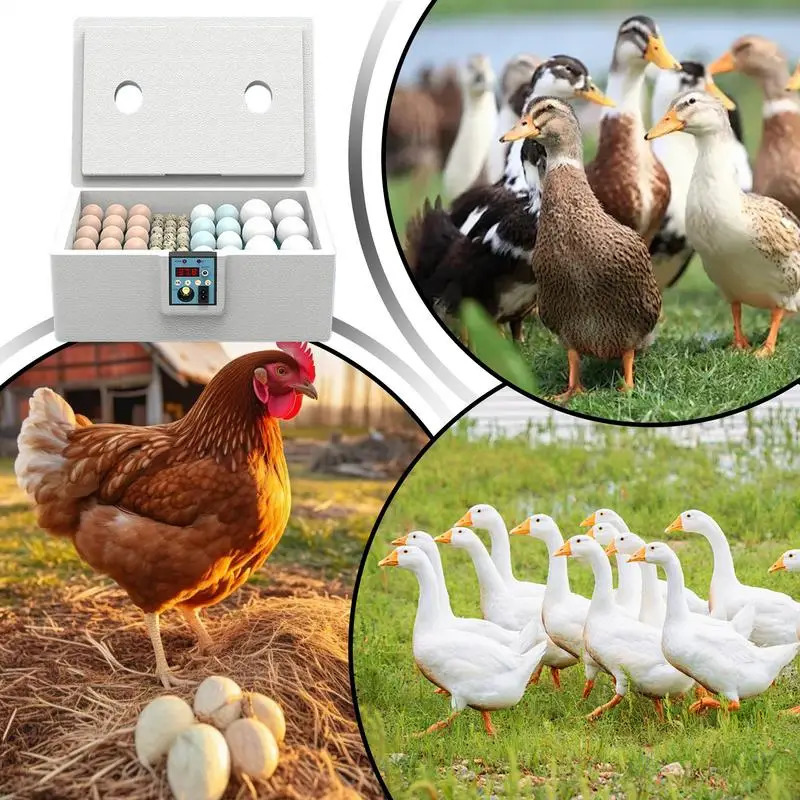 Egg Incubator Intelligent Poultry Brooder Automatic Turning Coop Bird Quail Chicken Poultry Farm Hatcher Incubation Tool 250613