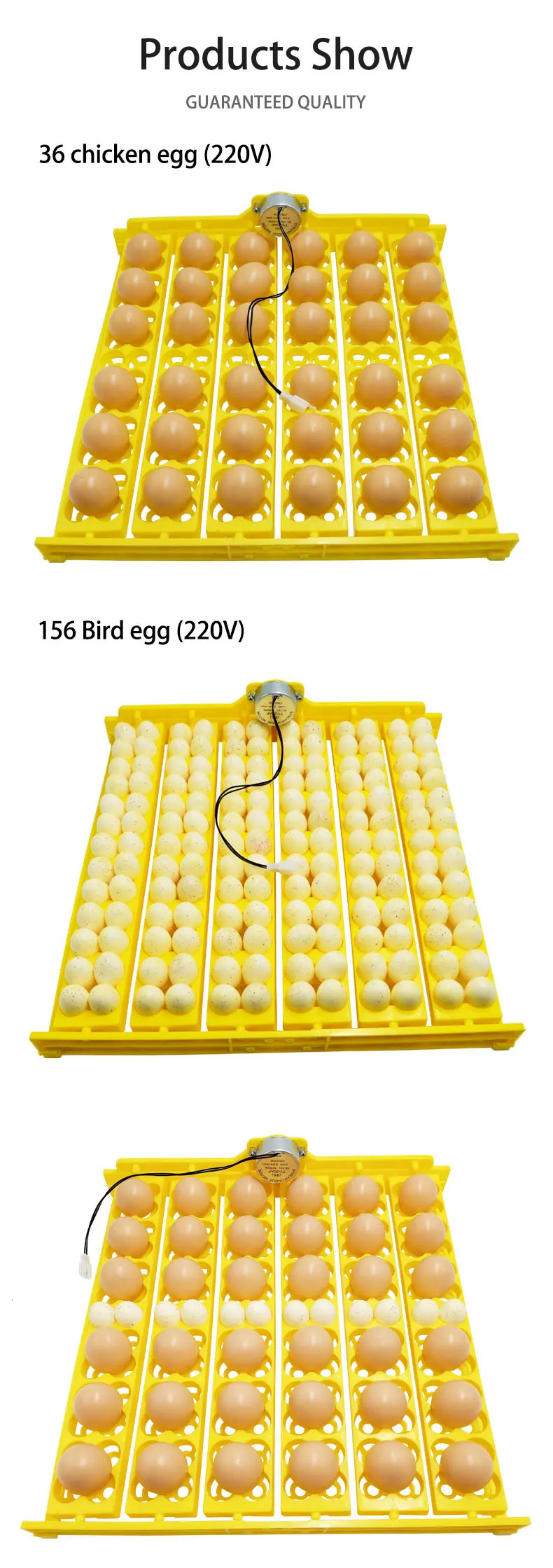 24 Eggs Tray Incubator Turner Automatically Egg Plates Turn Eggs Poultry Incubation Equipment for Chicks Ducks Bird 250613