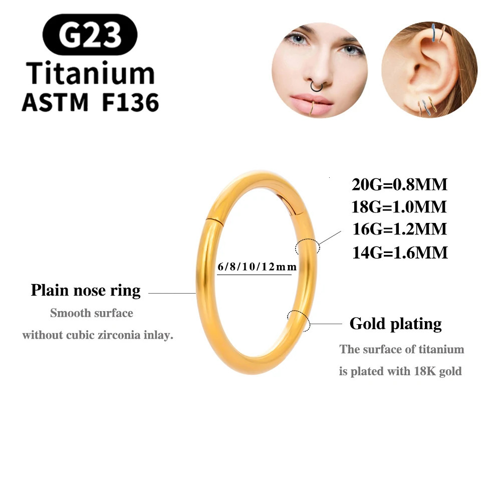 1050Pcs Wholesale Hoop Earring G23 Nose Ring For Women Piercing Jewelry Lip Ear Mixed Color Body Clips Hinge 250606